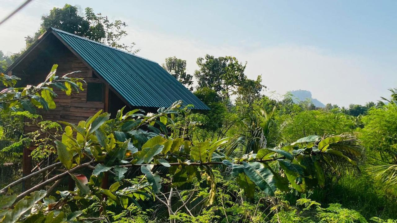 Chena Huts Eco منتجع سيغيرِيا