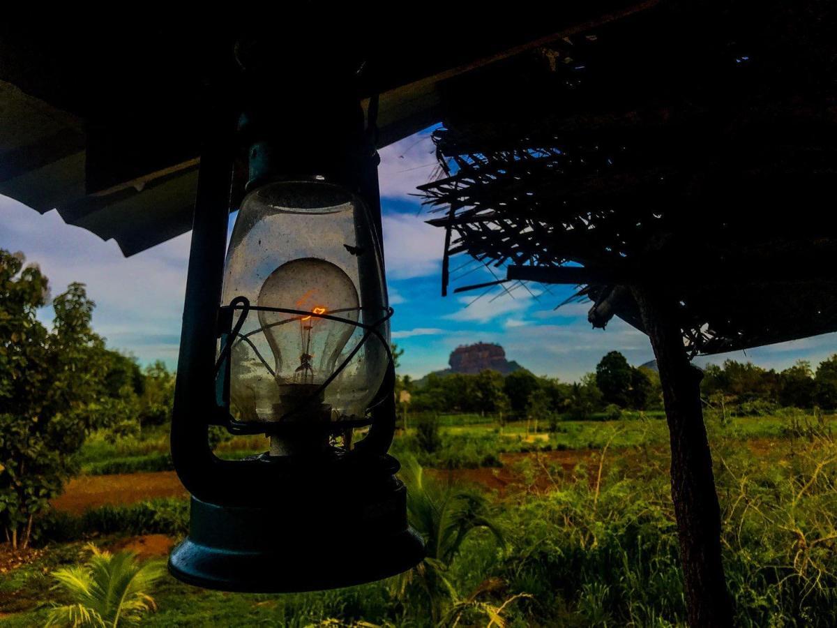 Chena Huts Eco Resort